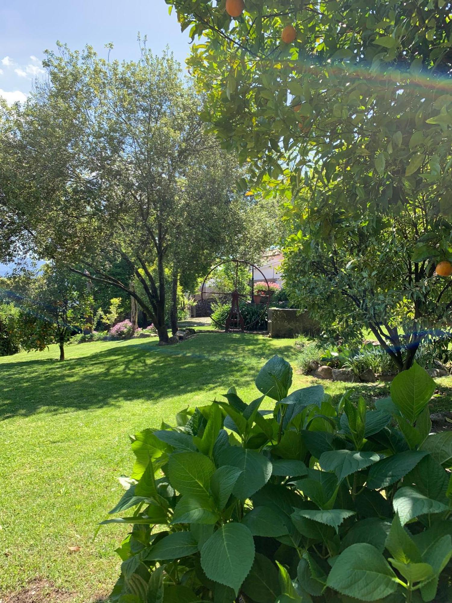 Quinta De Canhoes São Pedro do Sul Exteriér fotografie
