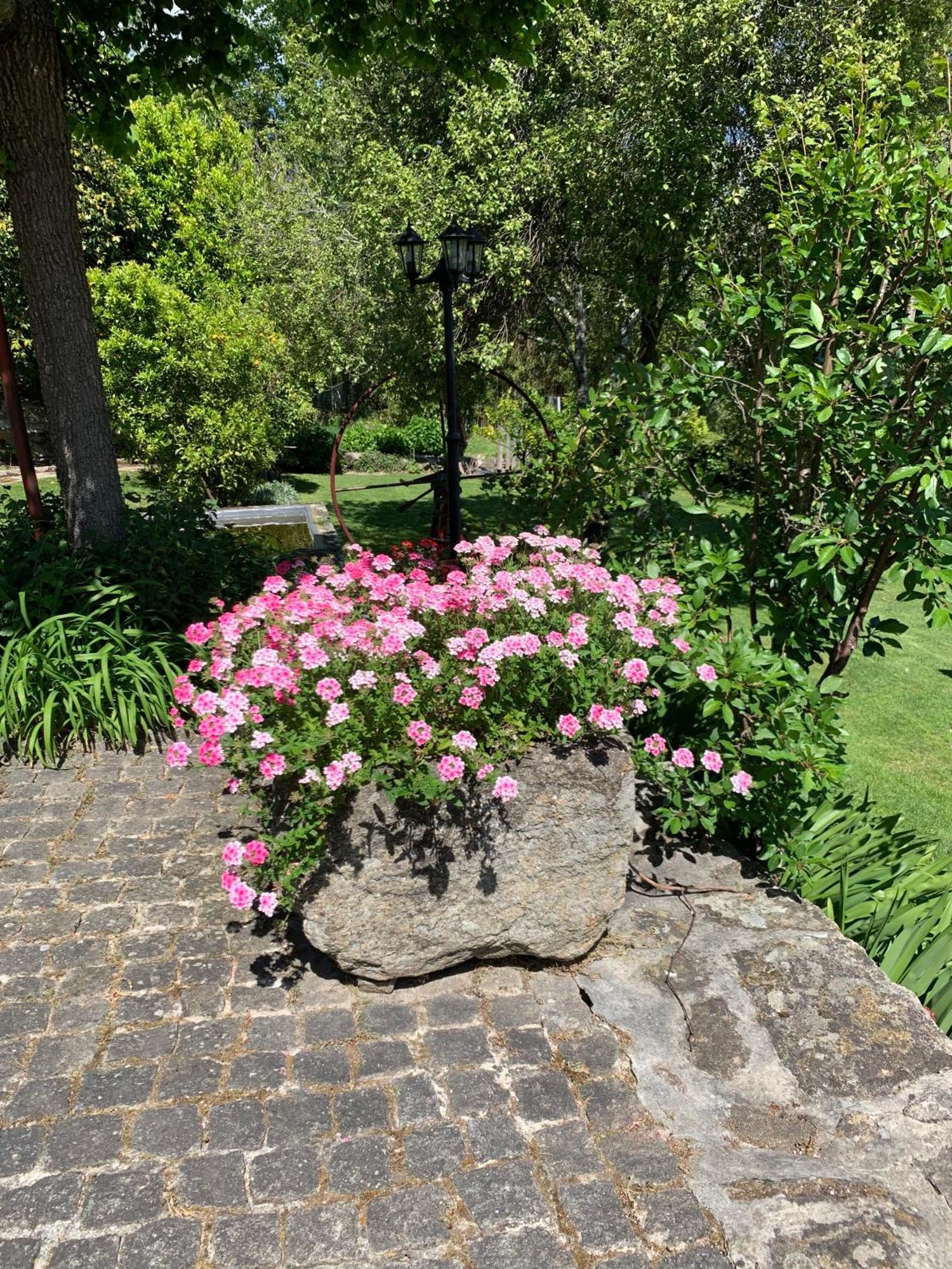 Quinta De Canhoes São Pedro do Sul Exteriér fotografie