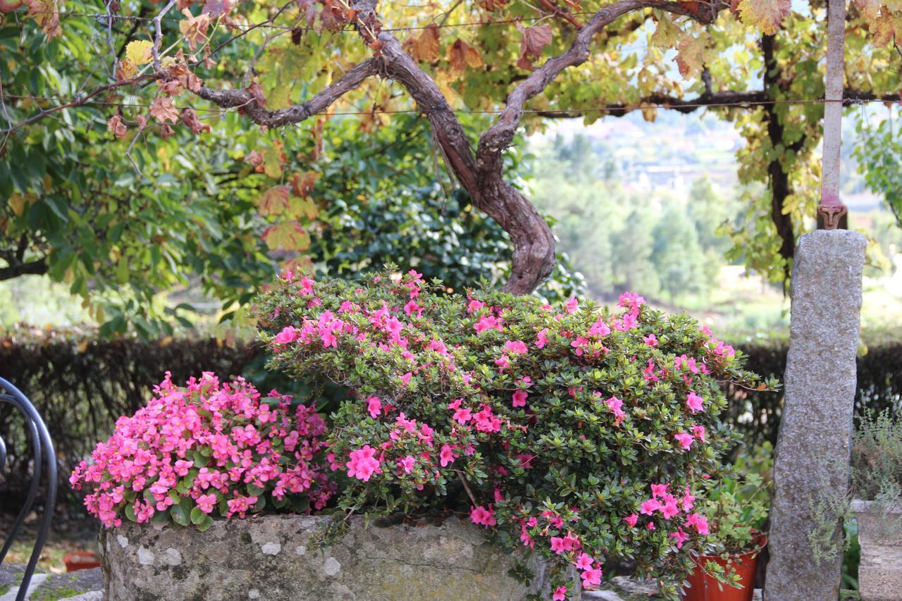 Quinta De Canhoes São Pedro do Sul Exteriér fotografie